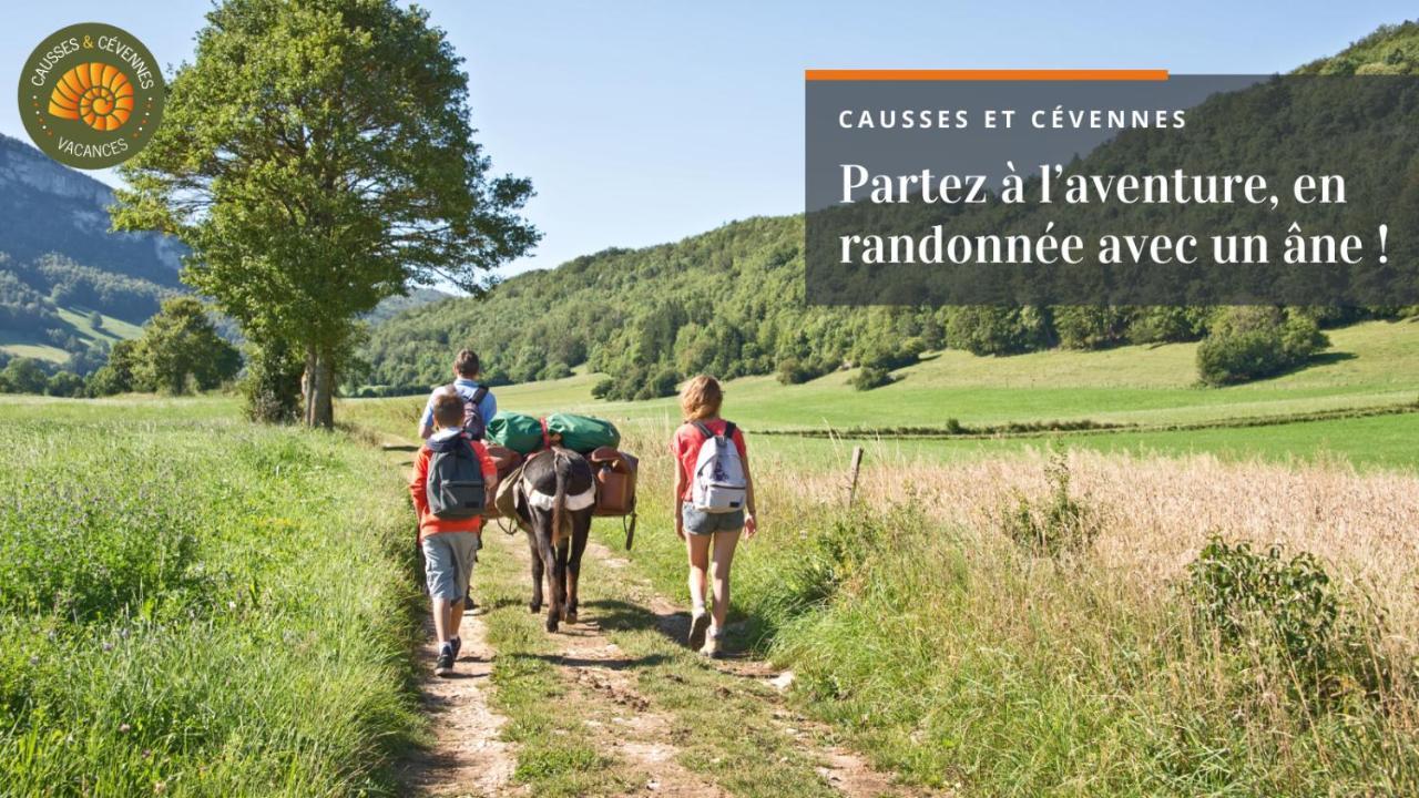Sainte-Croix-Vallee-Francaise 알베르구에르 빌라 외부 사진