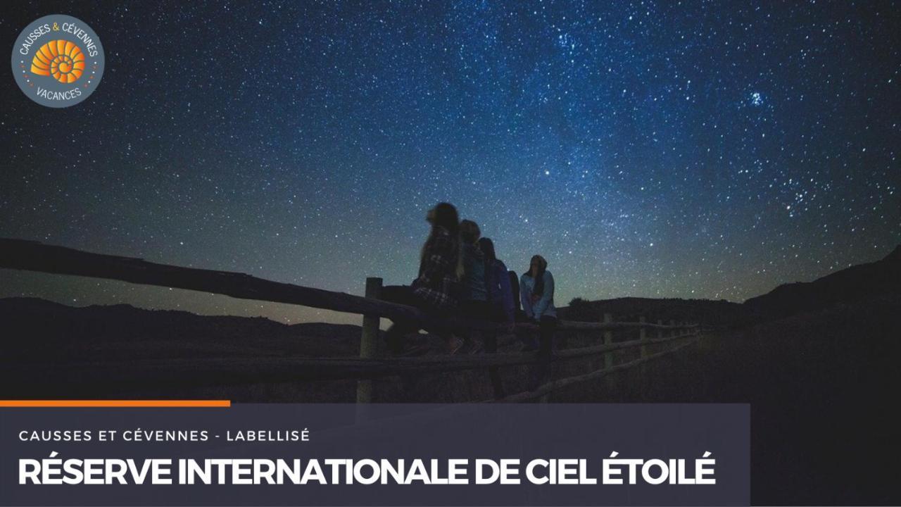 Sainte-Croix-Vallee-Francaise 알베르구에르 빌라 외부 사진